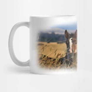 Little Pinto Mug